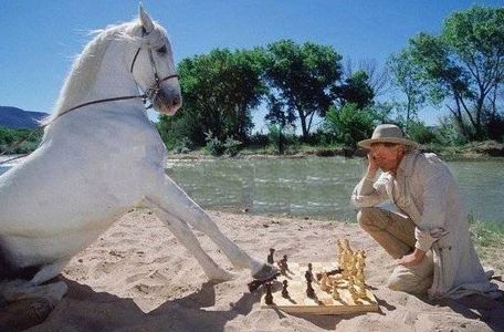 Chess